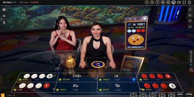 Chiến lược tăng tỷ lệ thắng trong xóc đĩa online
