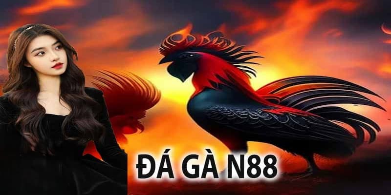 Giới thiệu về sân chơi đá gà N88