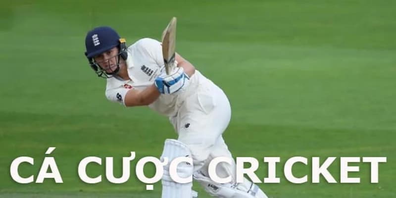 Ưu điểm khi cá cược cricket tại N88