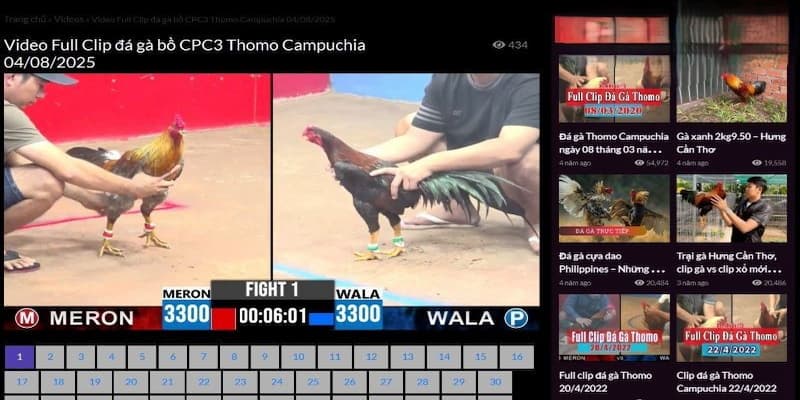 Ưu thế nổi bật của đá gà N88